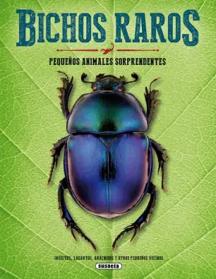 Imagen del producto 9788467756548