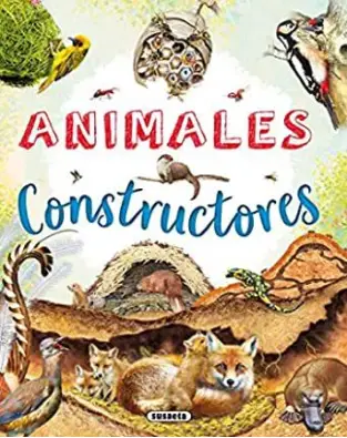 Imagen del producto 9788467776560