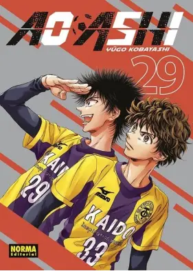 Imagen del producto 9788467973044