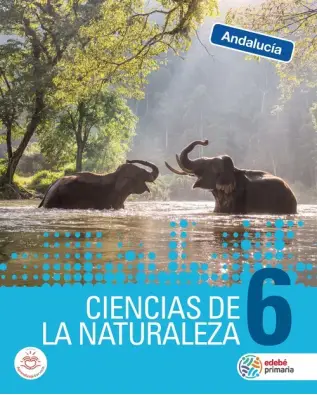 Imagen del producto 9788468342795