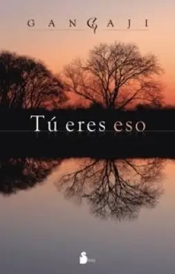 Imagen del producto 9788478087334
