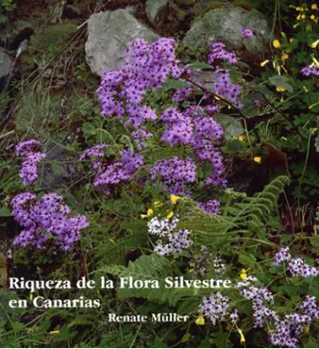 traducir('Imagen del producto ');9788479852631
