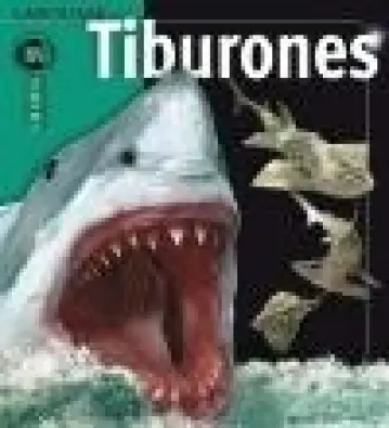 Imagen del producto 9788480168571