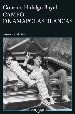 Imagen del producto 9788483830697