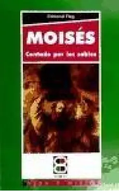 Imagen del producto 9788484077282