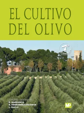 Imagen del producto 9788484767145