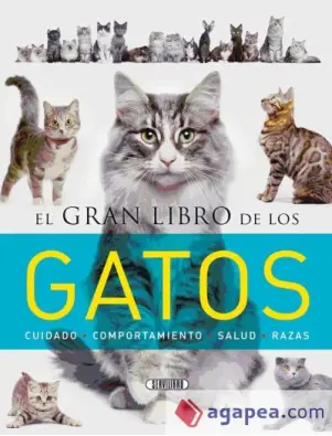 Imagen del producto 9788490050842