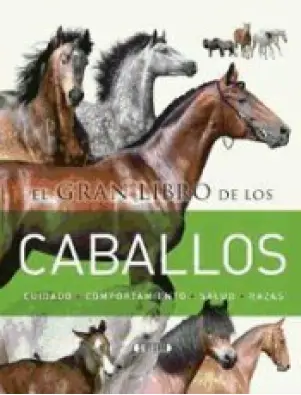 Imagen del producto 9788490051436