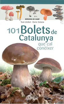 Imagen del producto 9788490347096