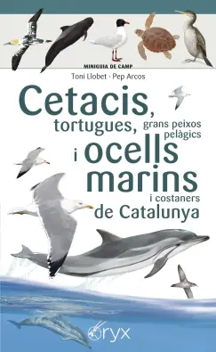 Imagen del producto 9788490349441