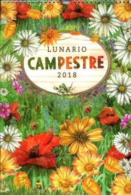 Imagen del producto 9788490871317