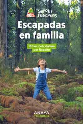 Imagen del producto 9788491589617