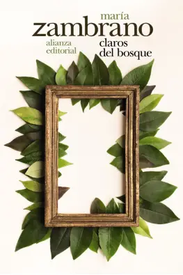 Imagen del producto 9788491813866