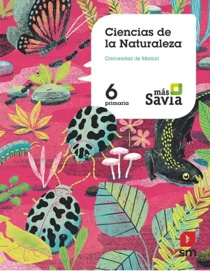 Imagen del producto 9788491822875