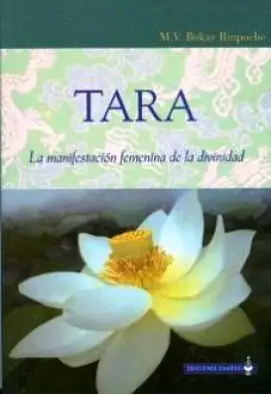 Imagen del producto 9788493554774