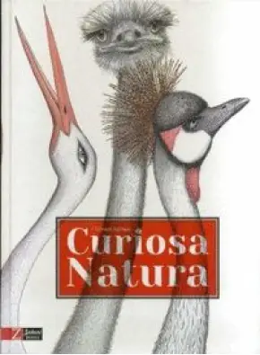 Imagen del producto 9788494713538