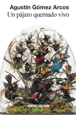 Imagen del producto 9788494941443