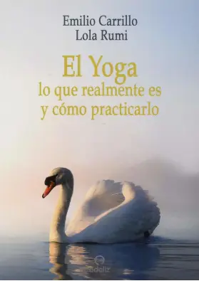 Imagen del producto 9788494968235