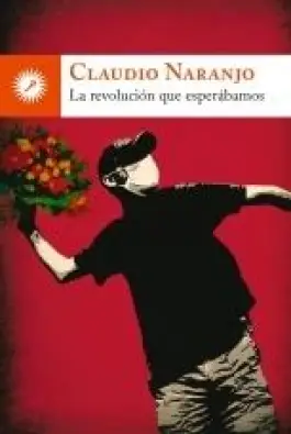 Imagen del producto 9788495496904