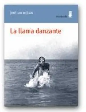 Imagen del producto 9788495587992