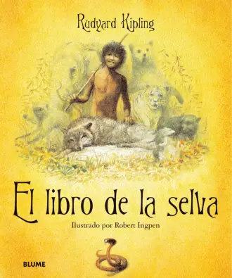 Imagen del producto 9788498011883