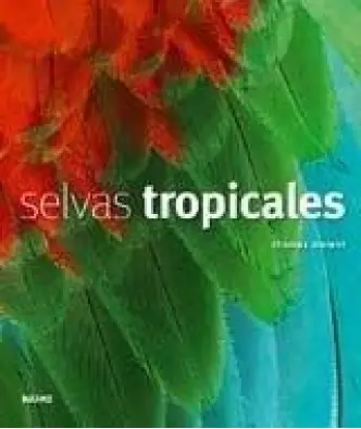 Imagen del producto 9788498013603