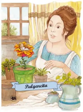 Imagen del producto 9788498255355