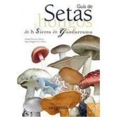 Imagen del producto 9788498732504