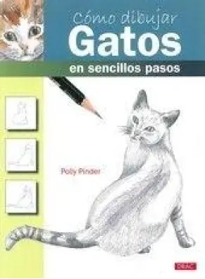 Imagen del producto 9788498743197