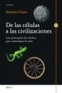 Imagen del producto 9788498924954