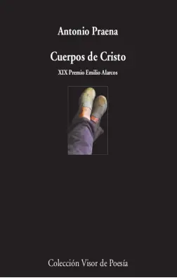 Imagen del producto 9788498954319