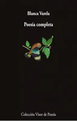 Imagen del producto 9788498955163