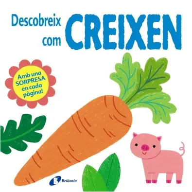 Imagen del producto 9788499062655