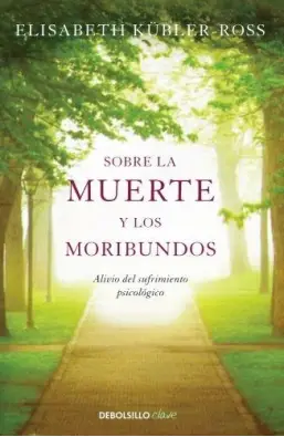 Imagen del producto 9788499086934