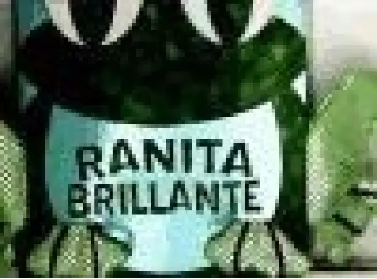 Imagen del producto 9788499133447