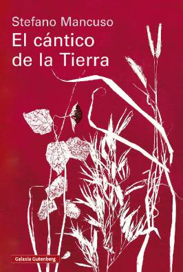 Imagen del producto 9791388019845