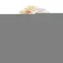 Imagen del producto 3070900061354