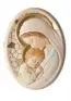 Imagen del producto  8058400190175