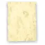 Imagen del producto 8422924555008