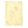 Imagen del producto  8422924555008