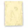 Imagen del producto  8422924555008