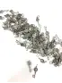 Imagen del producto  8470280250051