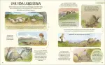 traducir('Foto del artÃ­culo'); 9780241720233