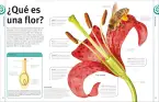 traducir('Foto del artÃ­culo'); 9780241736807