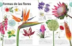 traducir('Foto del artÃ­culo'); 9780241736807