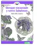 Imagen del producto  9783869417042