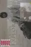 Imagen del producto  9788408067665