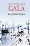 Imagen del producto  9788408088554