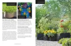 traducir('Foto del artÃ­culo'); 9788412459456