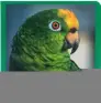 Imagen del producto 9788412534405